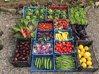 Produce in the walled kitchen garden