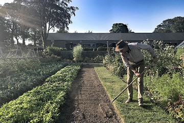 Dermot raking the vegetable beds at the Green Barn
